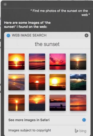 Siri Finn bilder av solnedgang på nettet