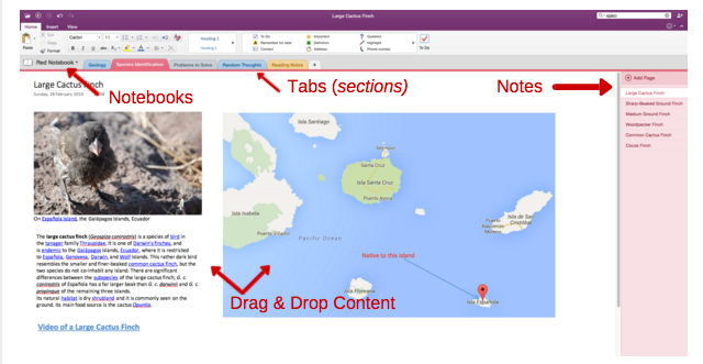 OneNote-organisasjon-640x331