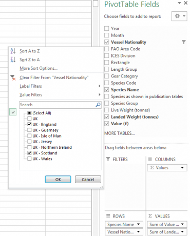 Pivot Table Filters