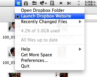 deling av dropbox-bilder