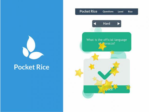 Pocket Rice