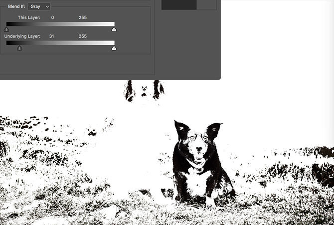 Photoshop Blend If Settings