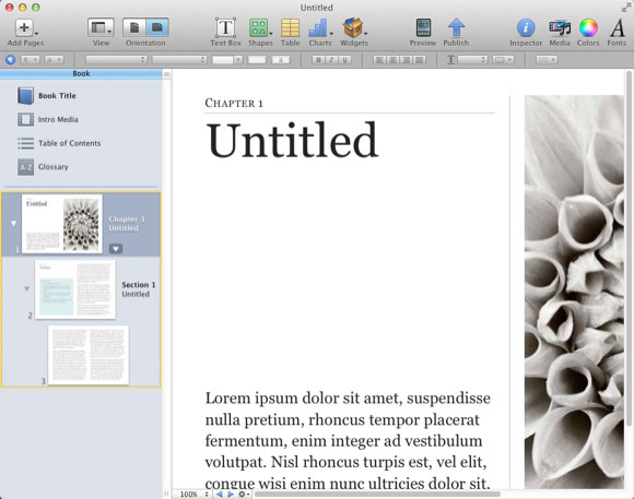 Ibooks forfatter 1