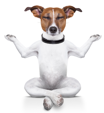 8 Små tweaks for en øyeblikkelig minimalistisk nettleser Opplev meditatingdog