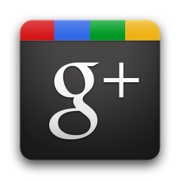 google pluss guide