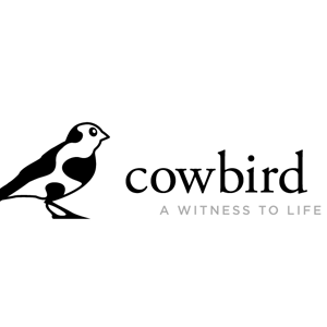 cowbird historiefortelling