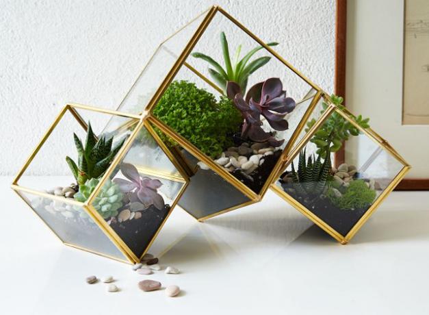 vest-alm-kube-terrarium