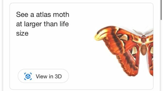 Google AR-søk Atlas Moth