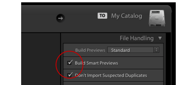 lightroom smarte forhåndsvisninger