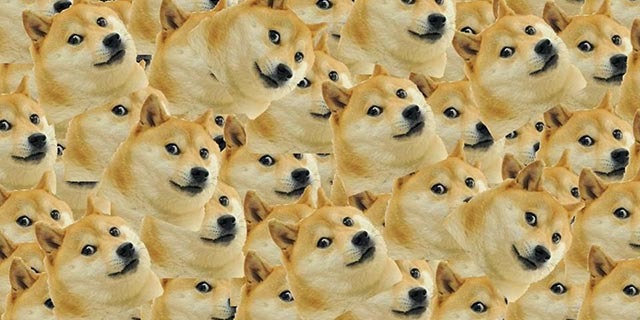 dogecoin-Community-brukere