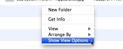 02e Show View Options.jpg