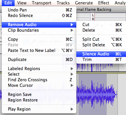 audacity guide