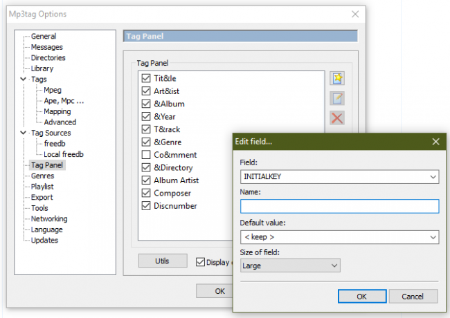 Mp3tag Tilpass Tagpanel