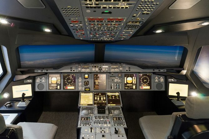 Fly simulator