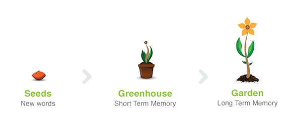 Memrise-Garden-Process lære et fremmedspråk