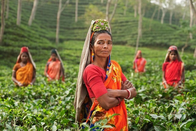 Folk i India på en gård