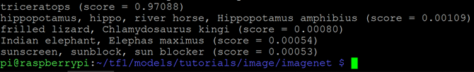 TensorFlow Dinosaur Classification Output