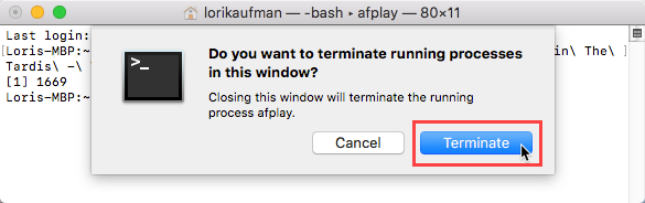 Klikk på Avslutt for en prosess i et Terminal-vindu på Mac