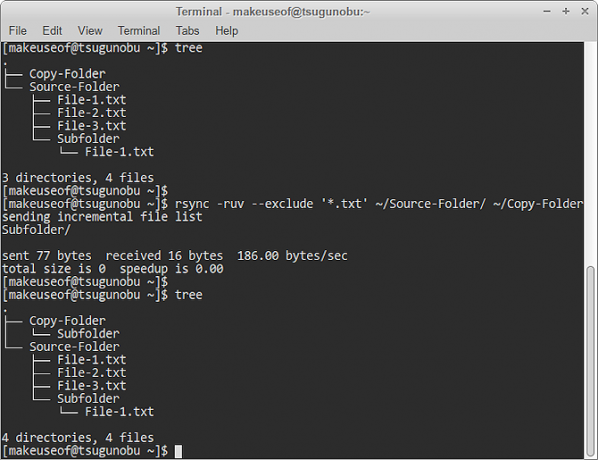 eksklusjon av rsync mønster